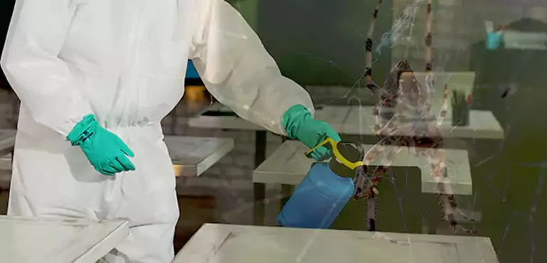 Why Buyers Still Want Homes With Pest Infestations in Dallas, TX?