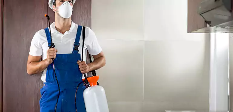 Why Dallas Homeowners Choose Us When Pests Make Selling Difficult